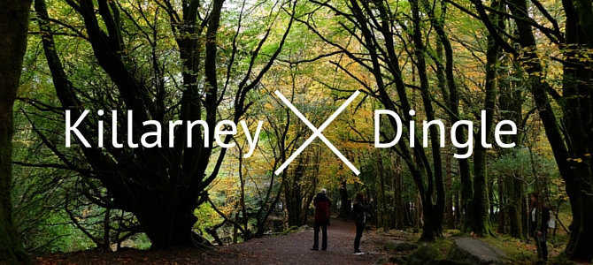 Student travel in Ireland: Killarney and Dingle