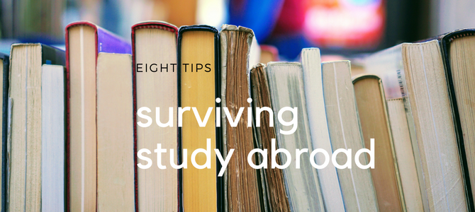 Eight tips for surviving overseas