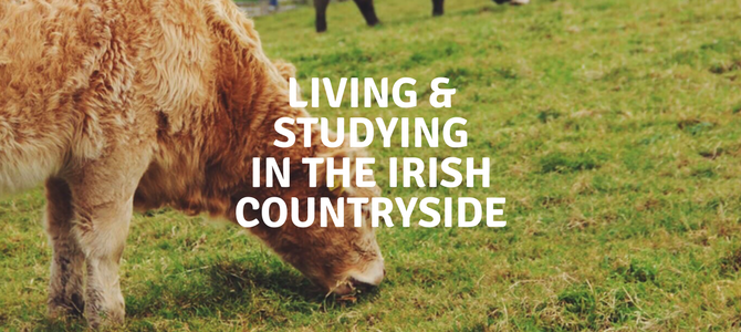 What’s it like living in the Irish countryside?