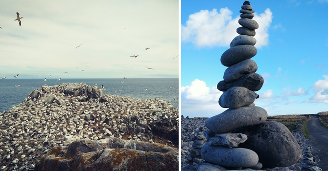 birds flying around a coastal edge and Rocks piled up on a beach