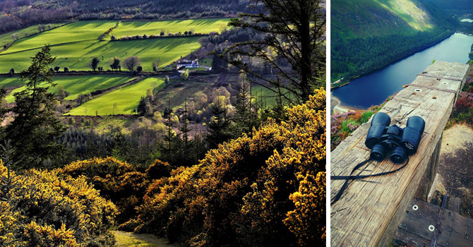 a view of a lush country garden and a view from the top of a wooden boardwalk in Glendalough with binoculars and lake in shot. 