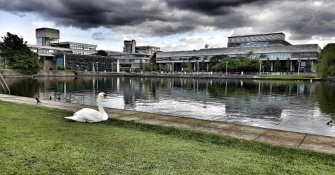 a swan sits in front of a large lake in the foreground and the concrete concourse sprawls in the background.