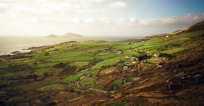 Rolling green hills in the Irish countryside