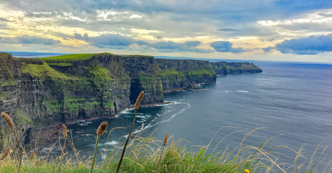 Steep cliffside facing the Atlantic ocean, with reeds in the foreground