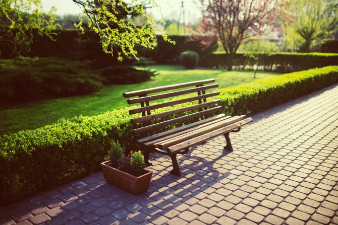 Park bench in landscaped gardens