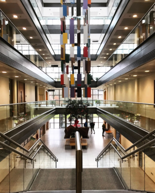 What does the Data Science Master’s programme at UCC look like? Study