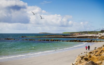 Searching for joy in hidden places