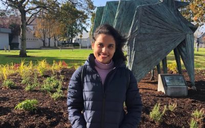 Stay home, stay sane