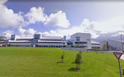 Why I chose to study in Ireland