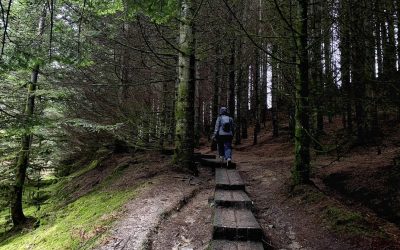 Does Ireland make you an independent person?