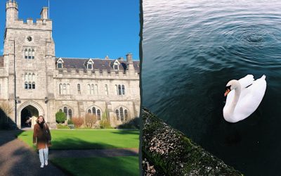 See Cork without breaking the bank!