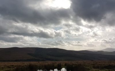 Exploring The Unexpected