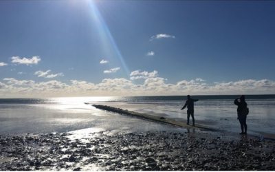 What I learned in Ireland