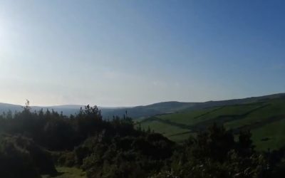 A Day Out in Wicklow