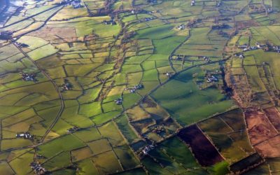 Home away from home: Beauty in diversity