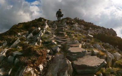 Finding subtle beauty in the obvious…