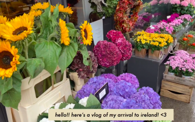 My arrival in Ireland