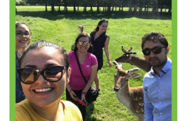 Why do I love Ireland