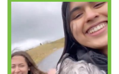 My first year in Ireland