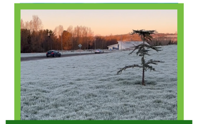 POV: You can’t believe how beautiful Ireland is