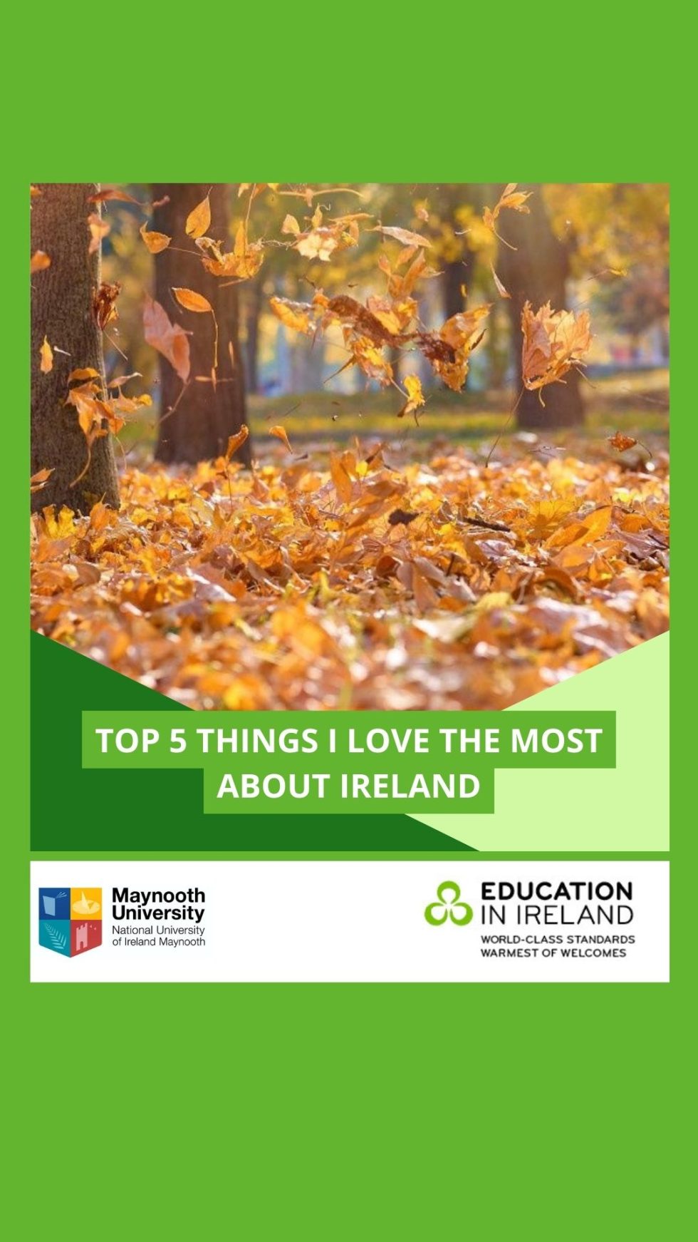 5-things-i-love-the-most-in-ireland-study-in-ireland-education-in