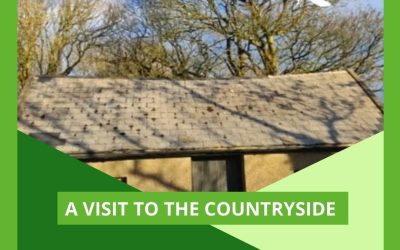 A visit to the countryside