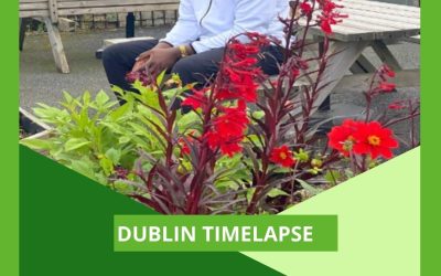 Dublin Timelapse