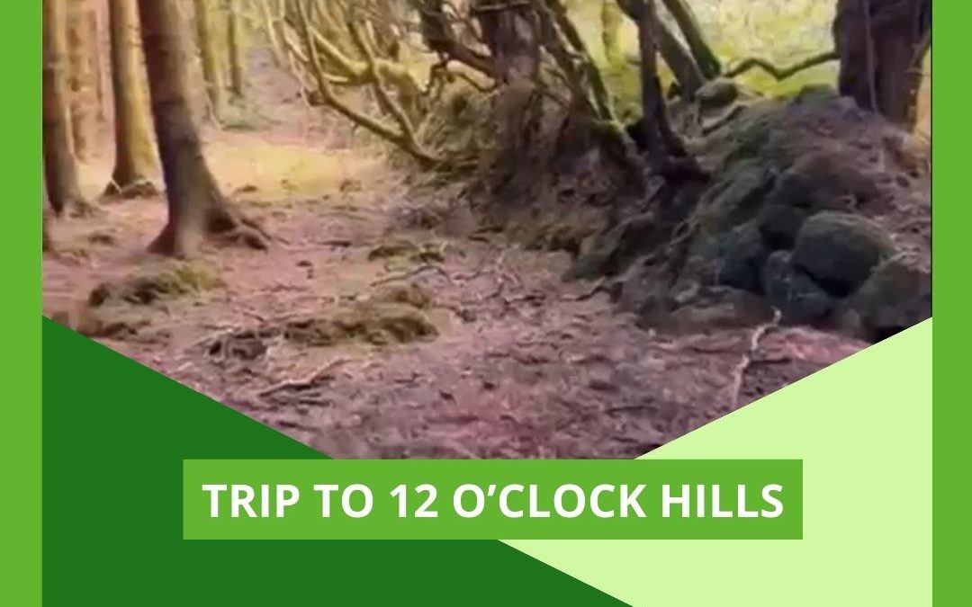 A Trip to 12 O’Clock Hills