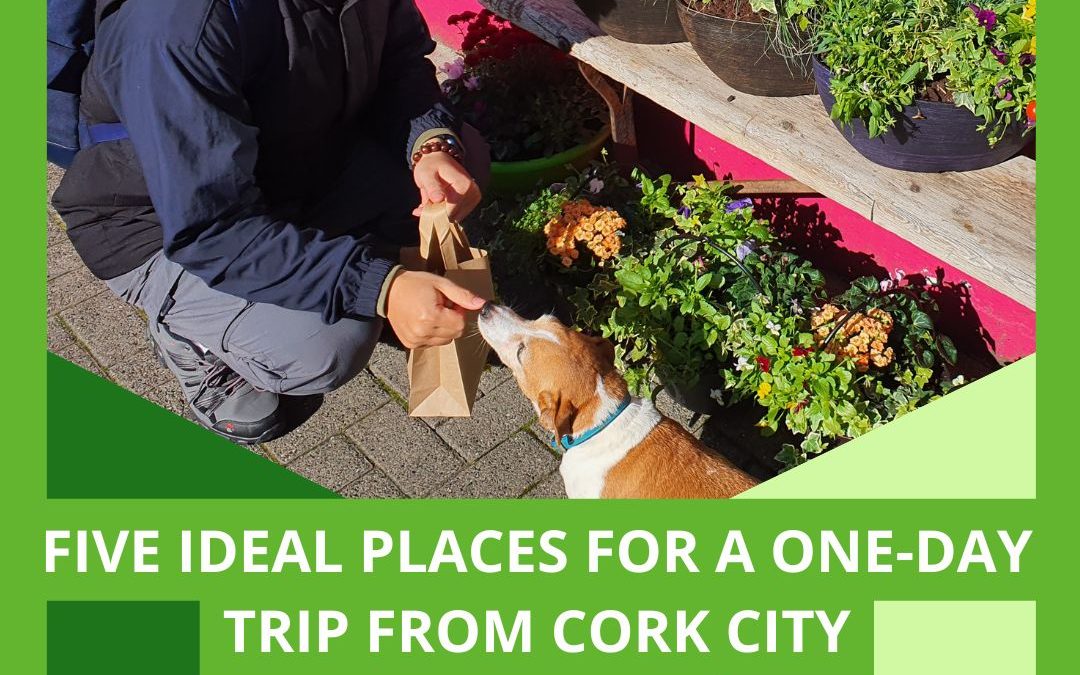 FIVE IDEAL PLACES FOR A ONE-DAY TRIP FROM CORK CITY