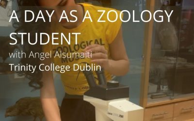 A Day as a Zoology Student