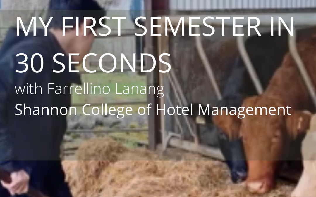 1st Semester in 30 Seconds