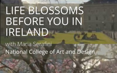 Life Blossoms Before You in Ireland